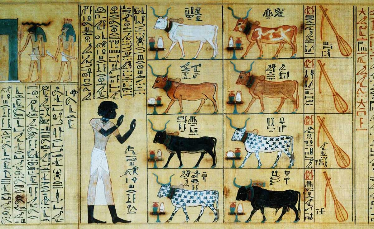 Principio [51] Sobre toda la tierra de Egipto (Podcast sobre Libro de  Génesis. Capítulo 40 Versículo 1ss)